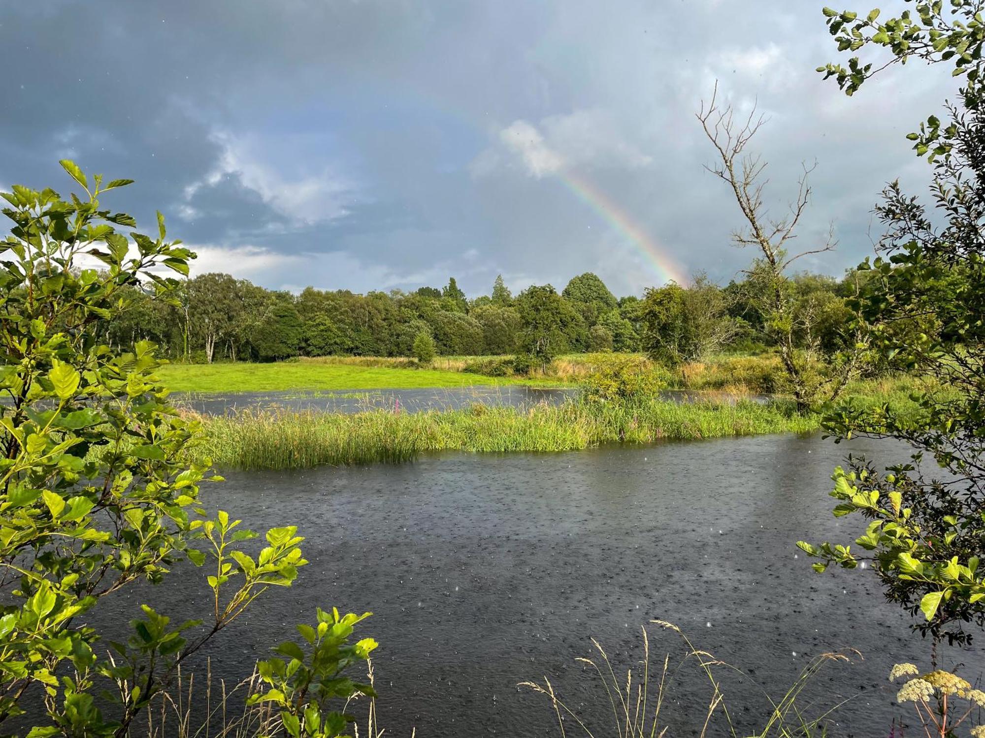 Lough Rynn Rental Mohill Eksteriør bilde